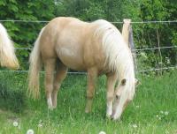 zum Vergr��ern oder auch f�r weitere Bilder anklicken